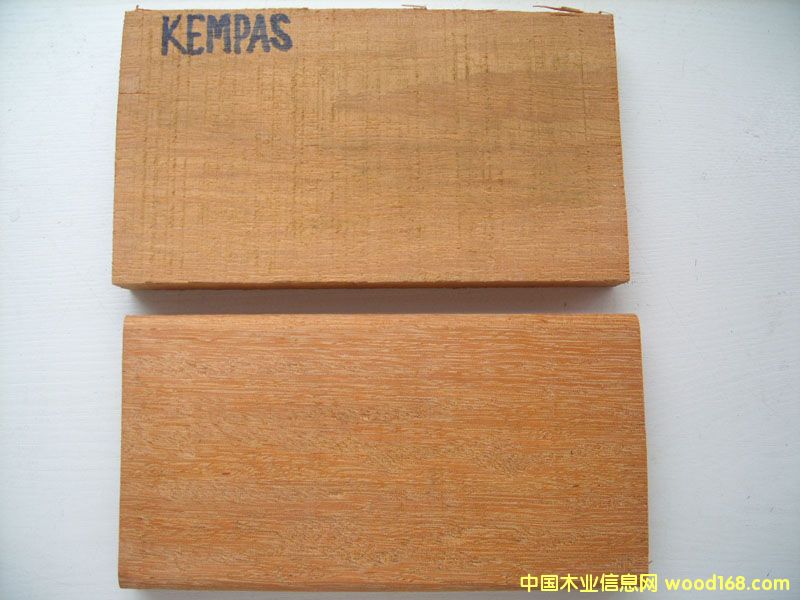 �ʰͶ����𲻓Q����Ԕ����B