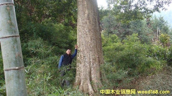  ��z�ľ-3��Ԕ����B