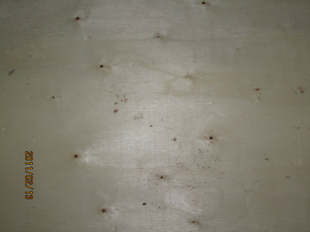 ��ľ�ΰ��Ԕ��(x��)��B