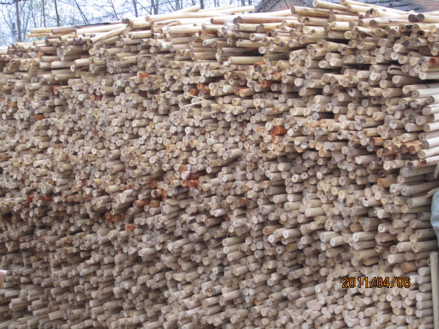 ��ľ��о��Ԕ��(x��)��B