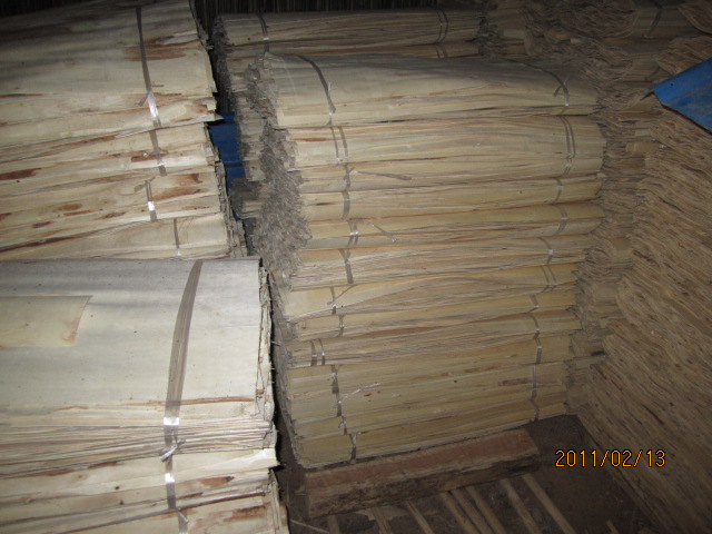 ��ľ�ΰ��Ԕ��(x��)��B