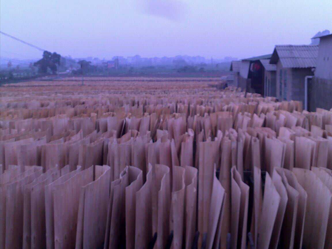 һ����ľ�ΰ��Ԕ����B