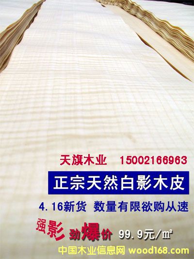 0.6�W�ް�Ӱ��Ԕ����B