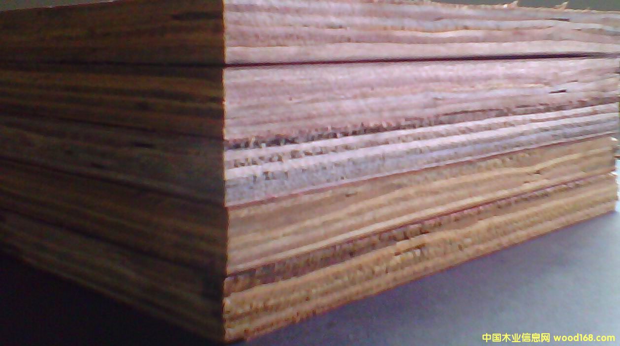 ����ģ���Ԕ����B