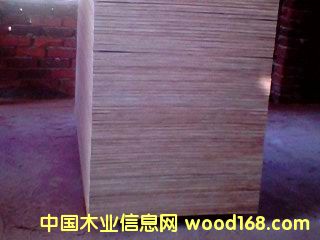 ����ģ���Ԕ����B