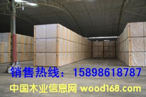 ��(x��)ľ����2��Ԕ��(x��)��B