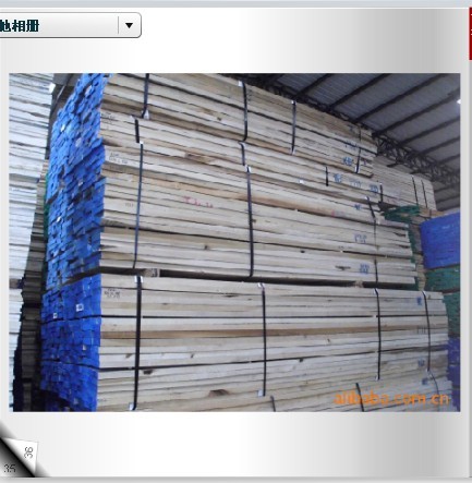 Yellow Poplar(�S�����ח�Z�������ľ����Ԕ��(x��)��B