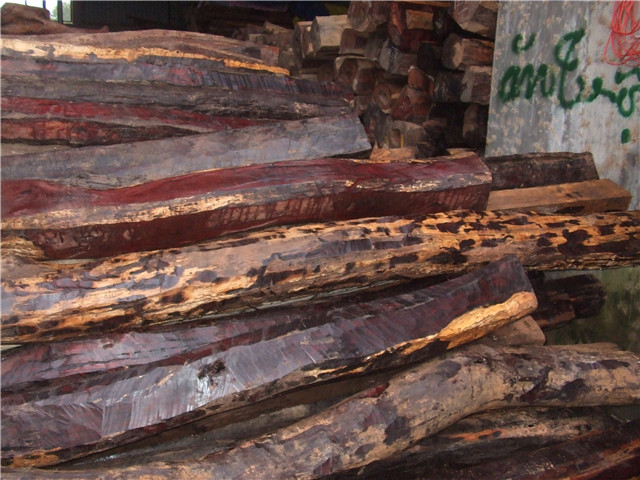 �ϓ�t��֦��Ԕ����B