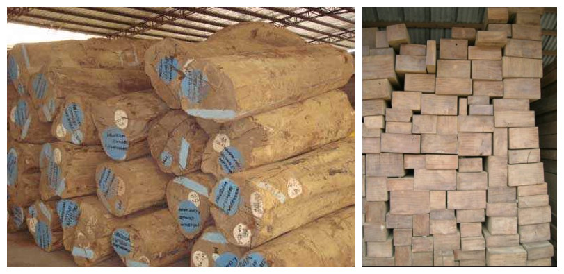 ������ľ��Ԕ����B