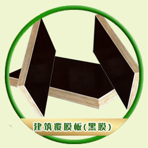 �ꌒľ�I(y��)