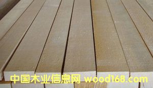 �Fɼ��Ԕ��(x��)��B