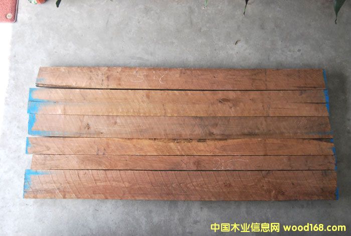 �ں��Ҷ�����Ԕ��(x��)��B