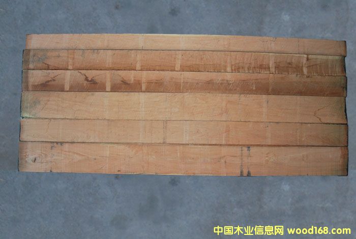 �t����피���Ԕ��(x��)��B