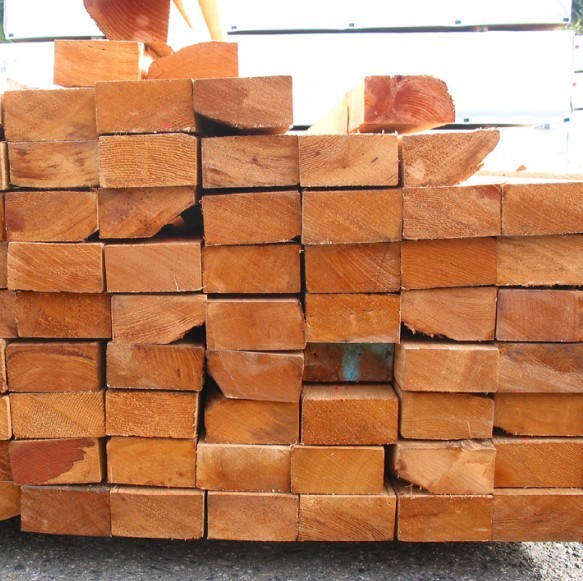 �Fɼ��Ԕ����B