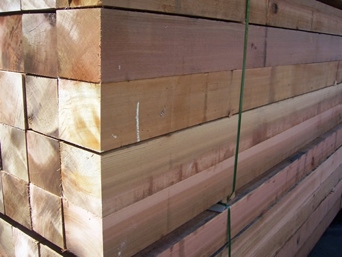 �tѩ�ɵ�Ԕ����B