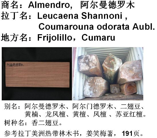 ����ᶹ��Ԕ����B