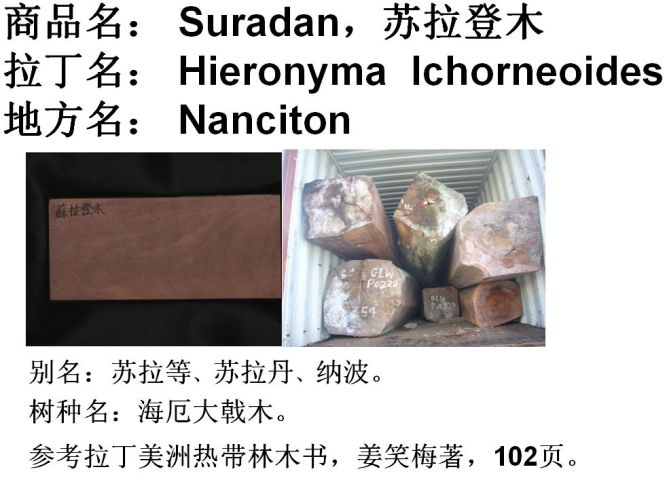 ������ľ��Ԕ����B