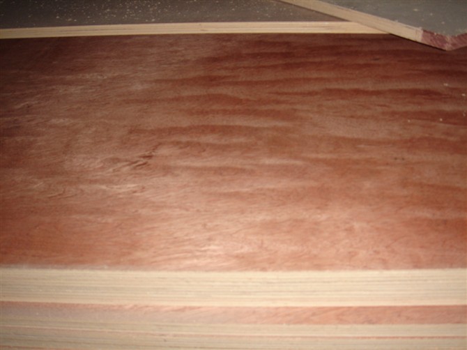 ���Ӱ� ����ģ���Ԕ��(x��)��B