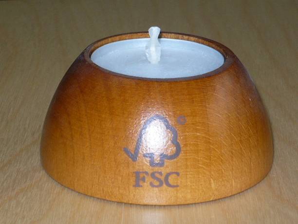 FSC�J�C���ߵ�Ԕ����B