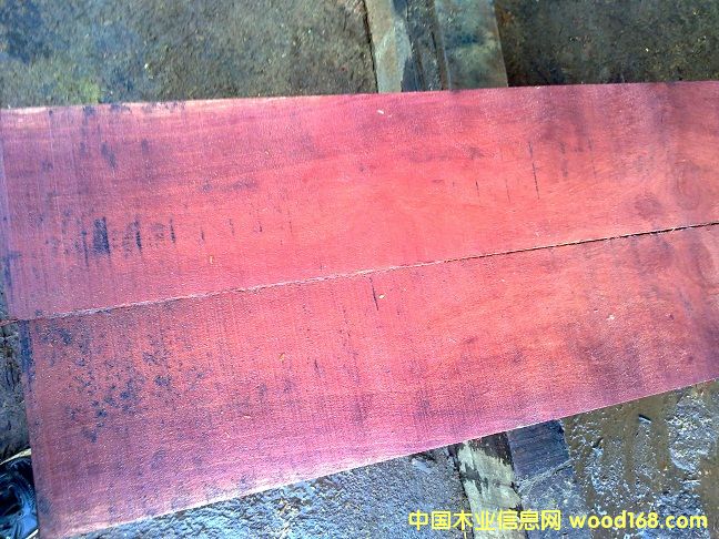 �t�sľ�ذ��ϵ�Ԕ��(x��)��B