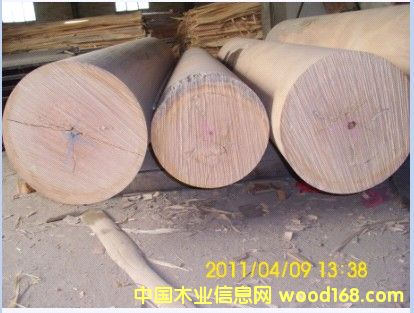 ��(y��u)�|(zh��)�z��ľ�ΰ��Ԕ��(x��)��B