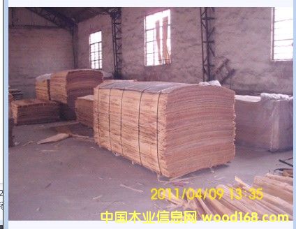 ��(y��u)�|(zh��)�z��ľ�ΰ��Ԕ��(x��)��B