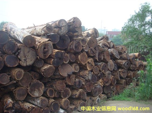 С�u���Ԕ����B