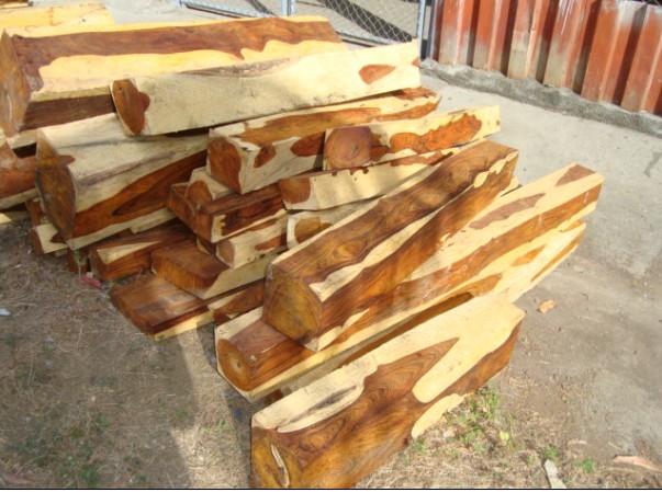 ΢���S̴��Ԕ����B