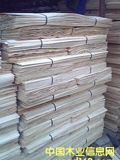 ��ľ�ΰ��Ԕ��(x��)��B