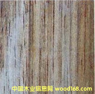 ���~�Kľ���������棩