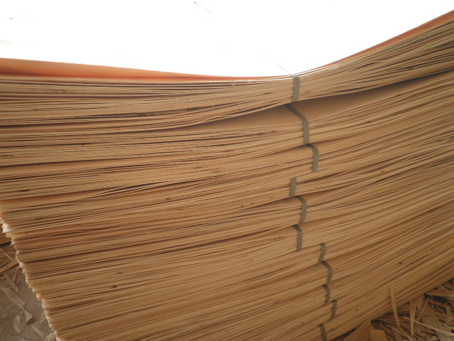 ��ľ�ΰ��Ԕ����B