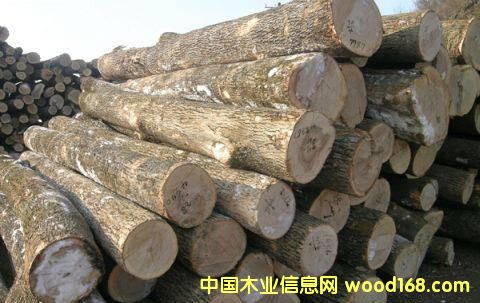 ��ľԭľ��Ԕ��(x��)��B