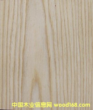 ������ľɽ�yľƤ���Ƽ���ľɽ�yľƤ��Ԕ��(x��)��B