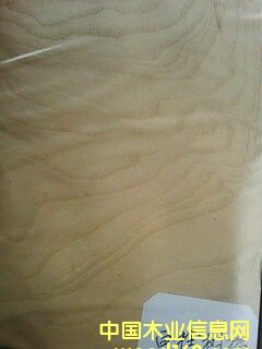 ��˨�����Ԕ��(x��)��B