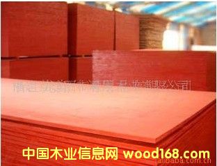 �t���Ԕ��(x��)��B