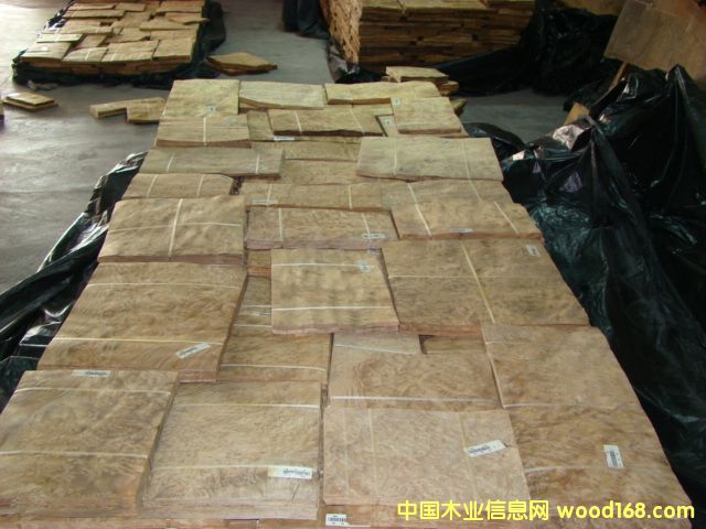 ɽ��������Ԕ��(x��)��B