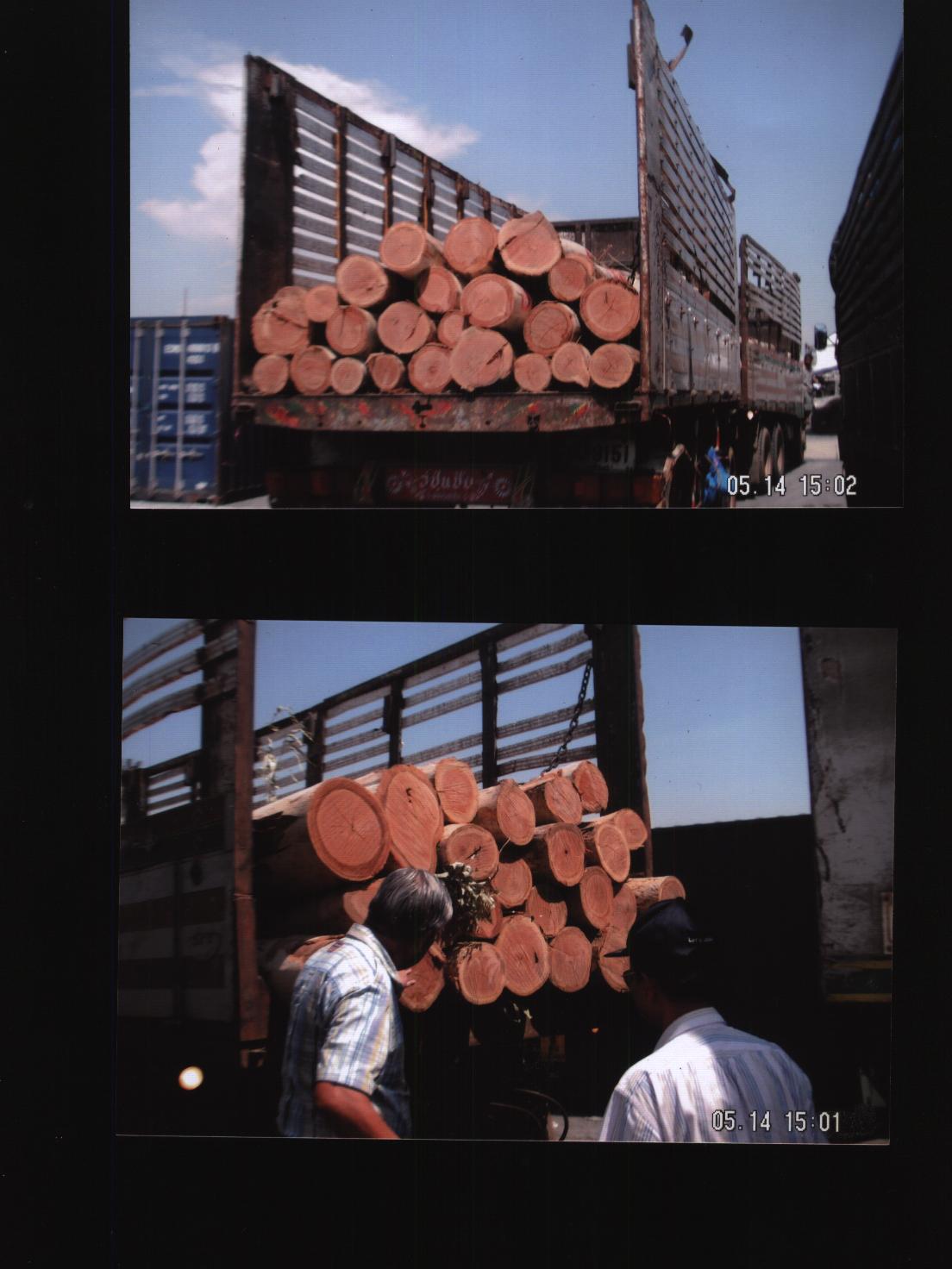 ̩��(gu��)��(y��u)�|(zh��)ԭľ����(y��ng)��Ԕ��(x��)��B