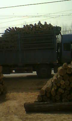 �V�ÿ�ľ��Ԕ��(x��)��B