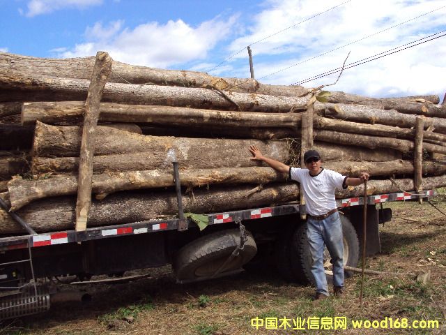 ��˹�_�����ľ��Ԕ����B