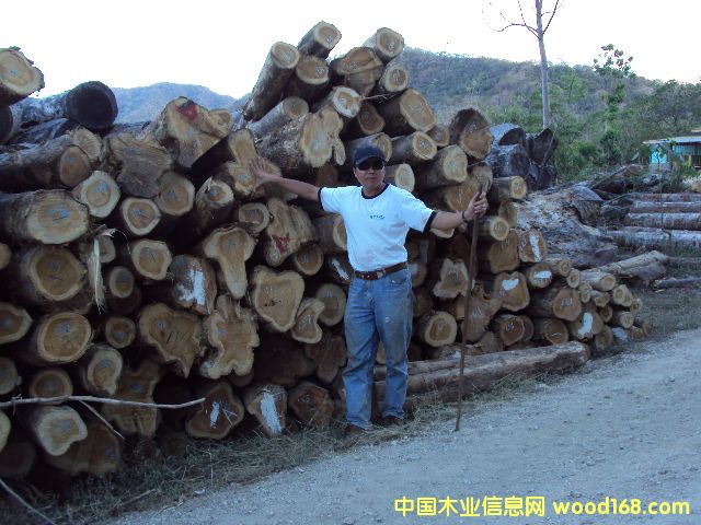 ��˹�_�����ľ��Ԕ����B