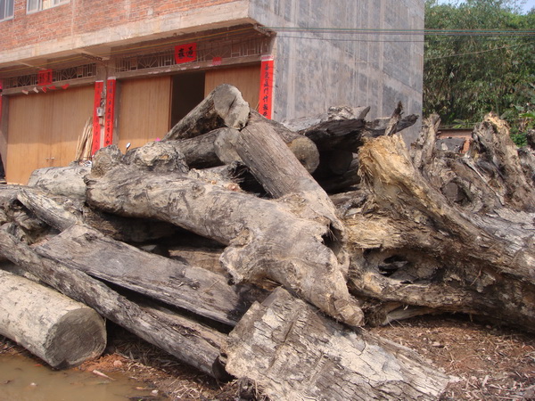 ��ľԭľ2��Ԕ����B