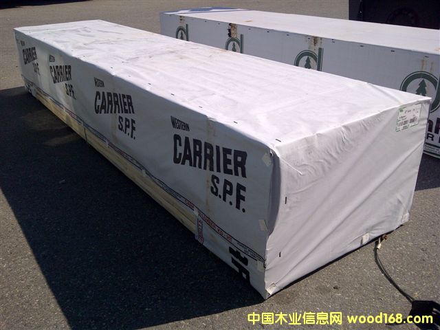 carrier��Ԕ��(x��)��B