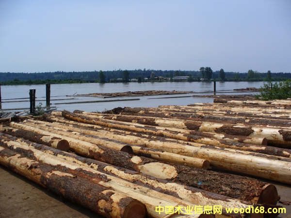 �����Ϸ���ԭľ��Ԕ����B