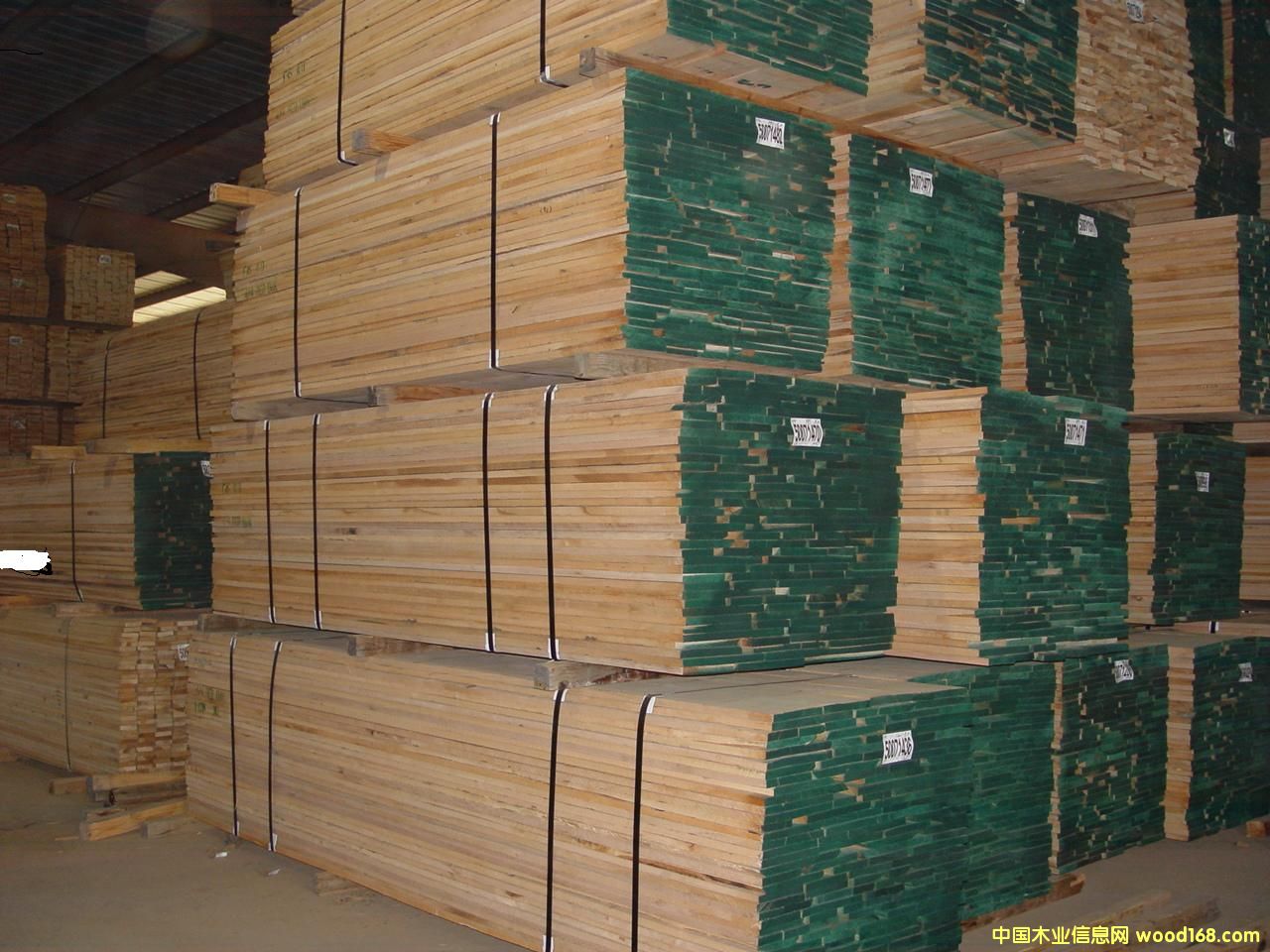 �M�ڻ�����ľ���Ԕ����B