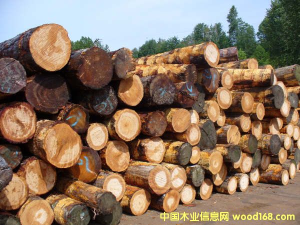 ����������ԭľ��Ԕ����B