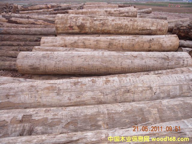 ݗ���ɵ�Ԕ��(x��)��B