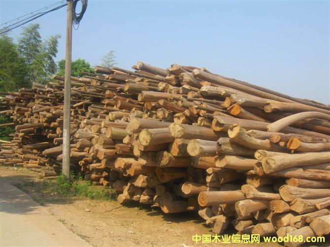 ɼԭľ��Ԕ��(x��)��B