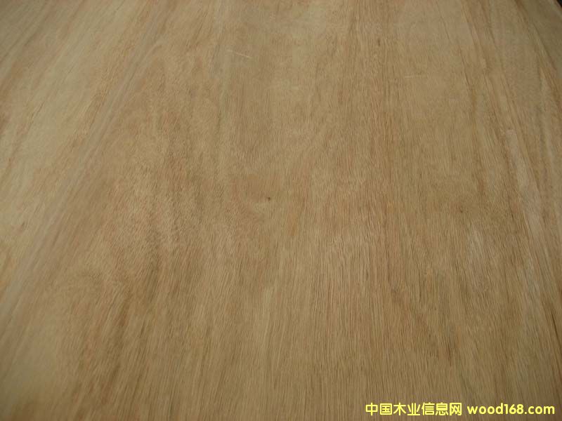 �t�ϙ�ΰ��Ԕ��(x��)��B