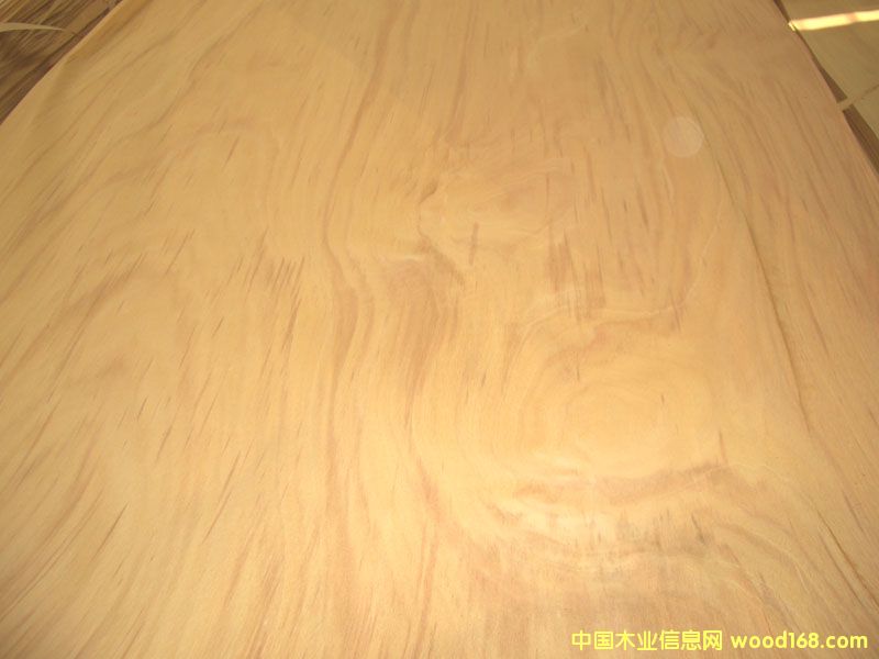 ɽ�𻨆ΰ��Ԕ��(x��)��B