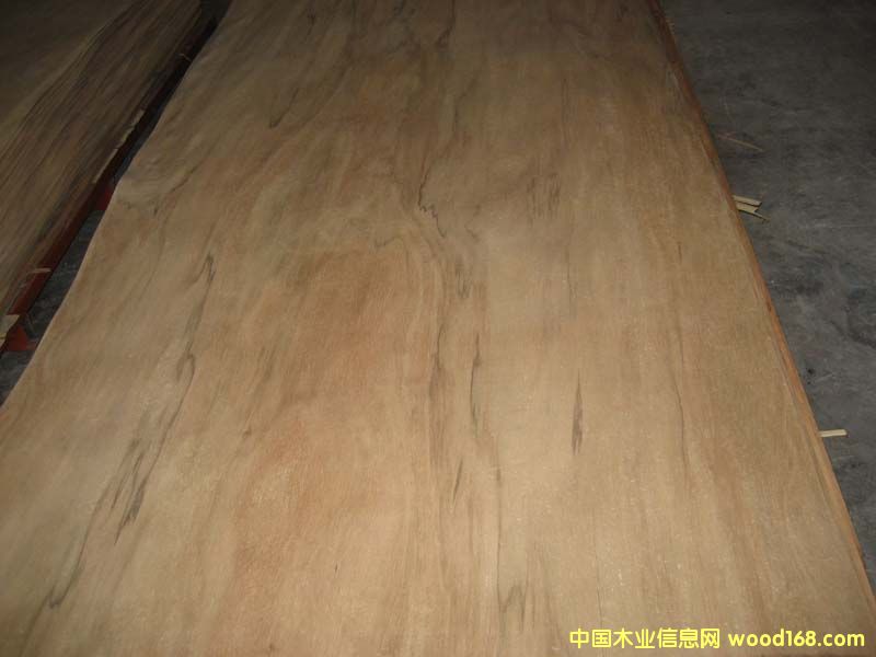 ����ľ�ΰ��Ԕ��(x��)��B